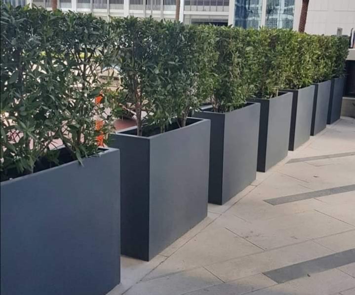 الأحواض الزراعية